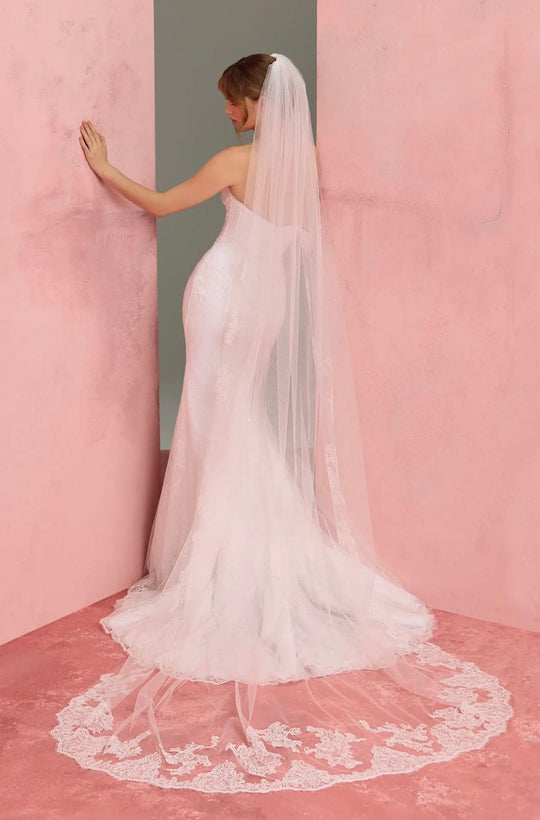 Blue Willow "Lucienne" Veil