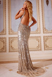 Jovani Prom 43623A in Nude/Silver/Gold