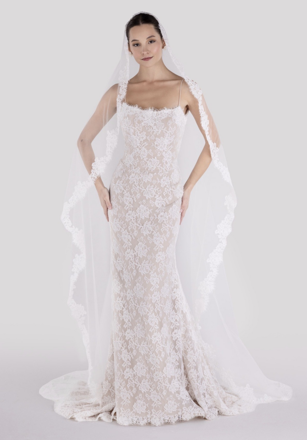 Blue Willow "Gibbes" Veil