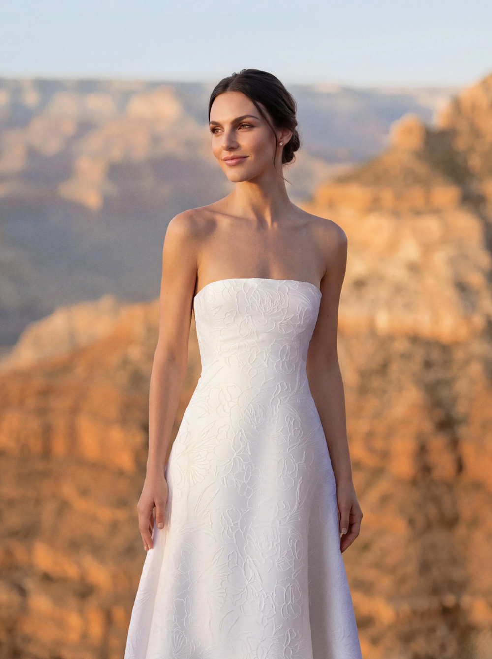 Pronovias "Immis"